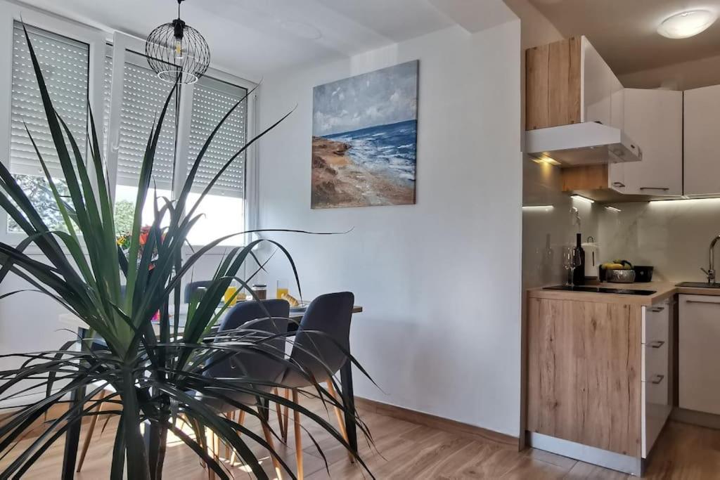 רייקה Apartman Liburna מראה חיצוני תמונה